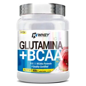 GLUTAMINA + BCAA 8.1.1 – 500 GR
